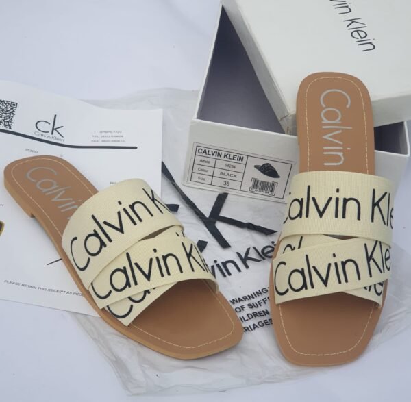 Calvin Slides-Bg