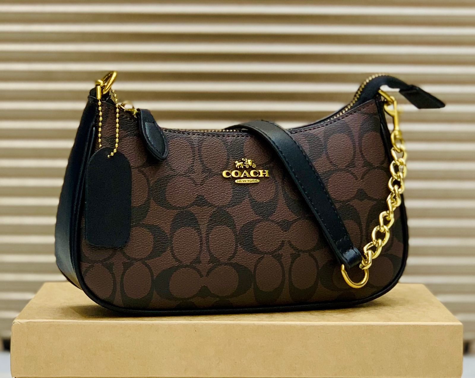 Terri- Br Bl - Image 2