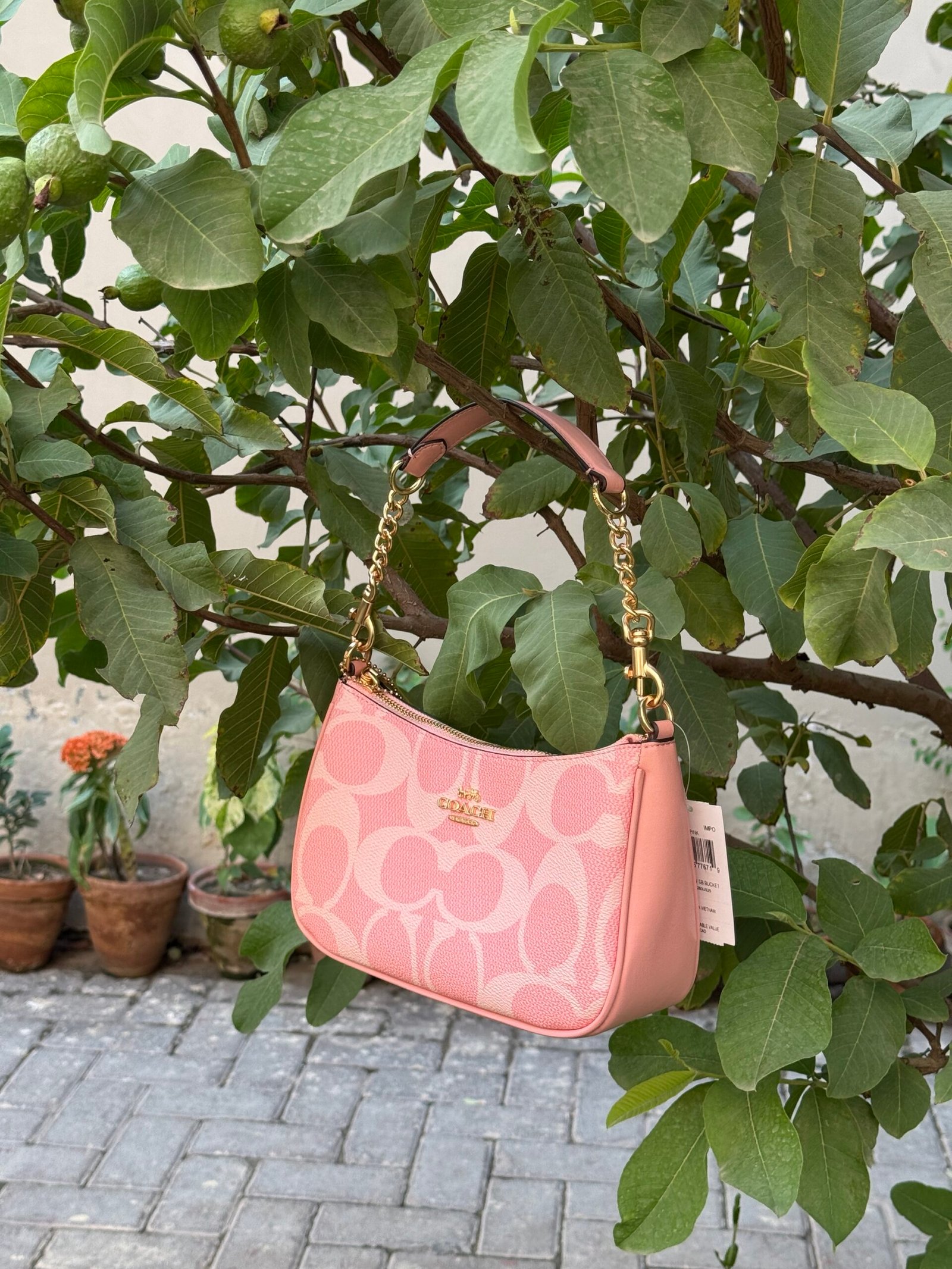 Pink Terri-Coach (OG) - Image 2